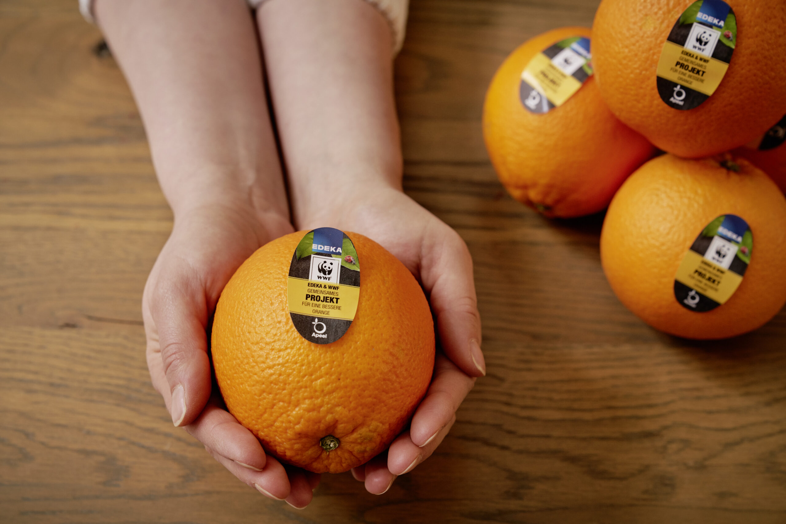 edekaxapeel_orange-in-hand