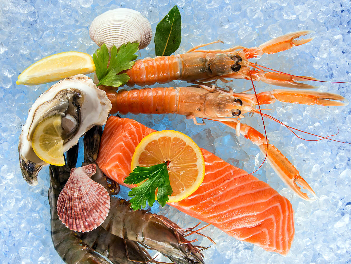 tk_karussell_selbst_einfrieren_fisch_final