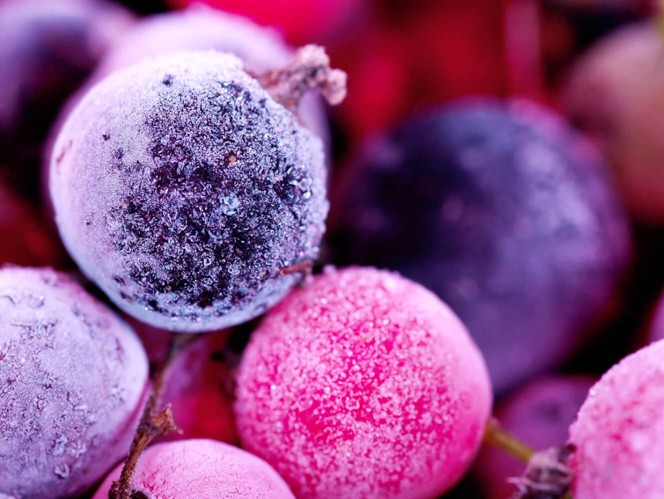 tk_karussell_selbst_einfrieren_obst_final