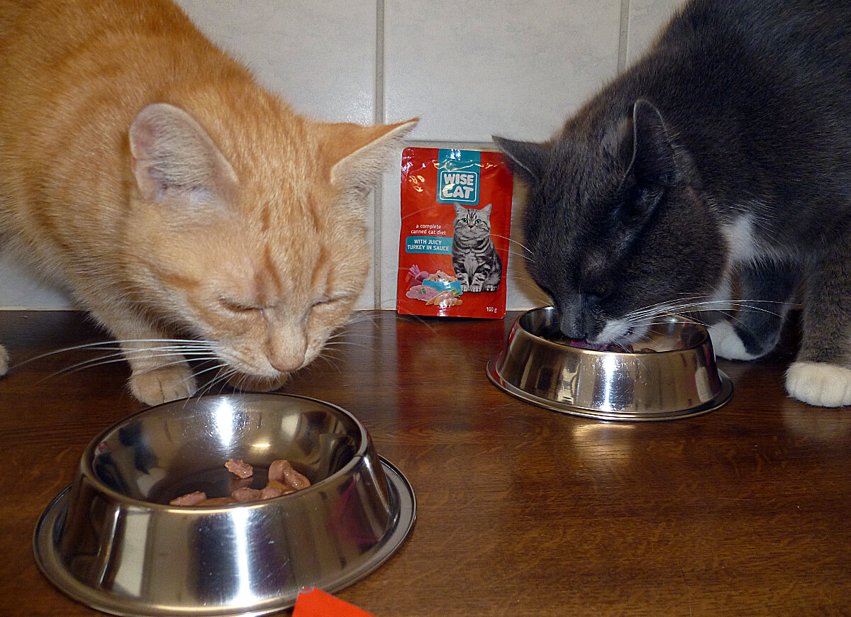 Futterspende für das Tierschutzhaus Fürth